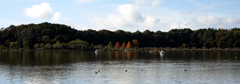 The Lake in Autumn Morning 