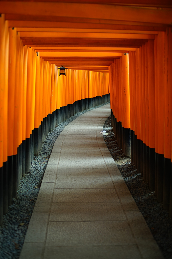 千本鳥居