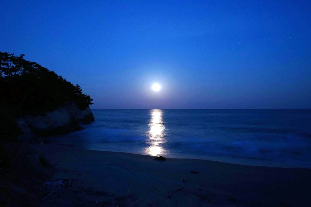 The Full Moon in The Blue Morment