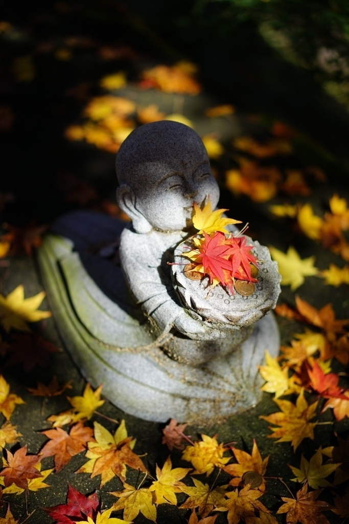 紅葉を抱いて