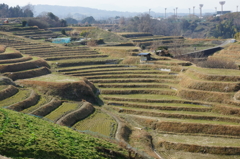 春待つ棚田