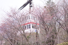 二階建てのケーブルカーと桜