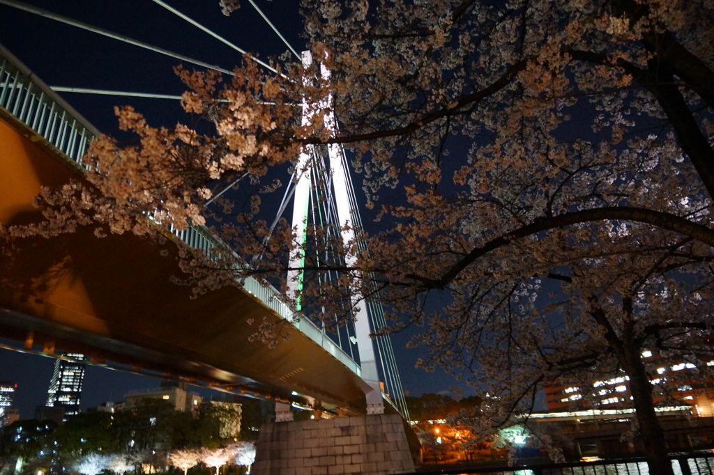 橋