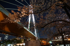 橋