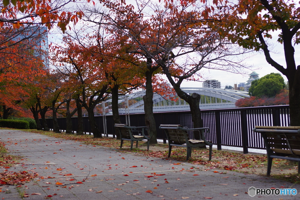 大阪の紅葉