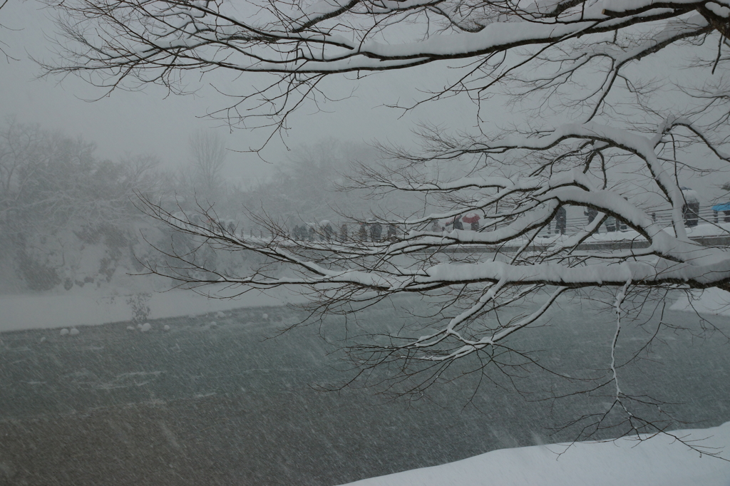 雪の川の流れ