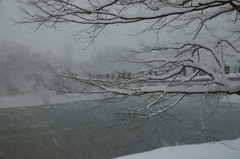 雪の川の流れ