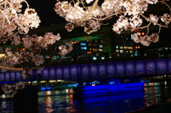 夜桜