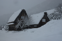茅葺きの雪景色
