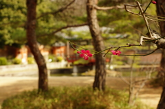 静寂