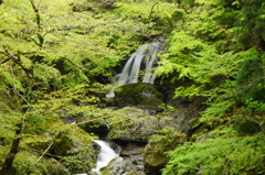 魚止めの滝