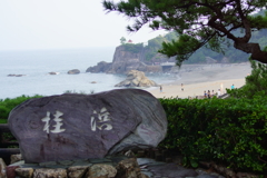 桂　浜