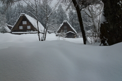 新雪と茅葺きの民家
