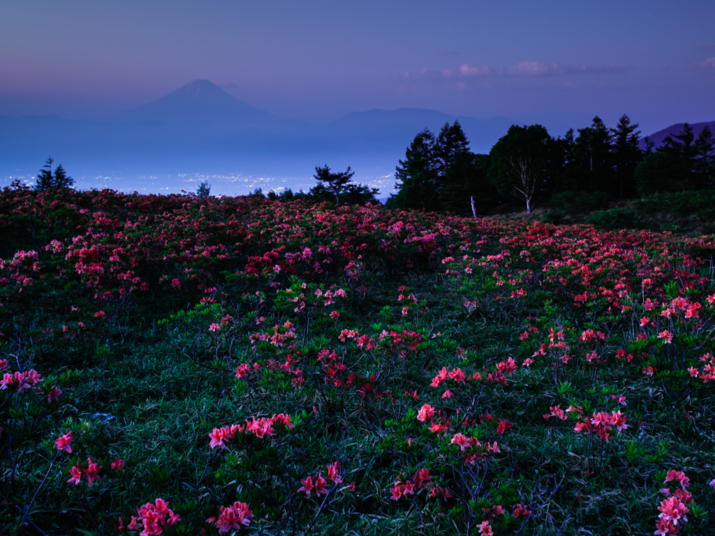 天上の花園 By Tetujin28go Id 写真共有サイト Photohito