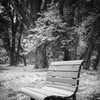名残雪