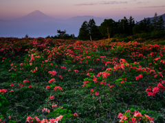 天上の花園Ⅳ