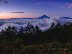 荒ぶる雲海