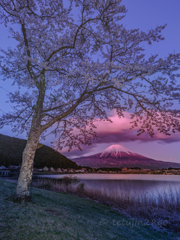日暮れ時