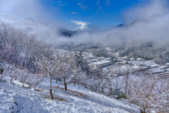 春雪の里