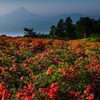 天上の花園Ⅵ　