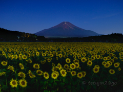 朝ぼらけ
