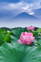 朝景