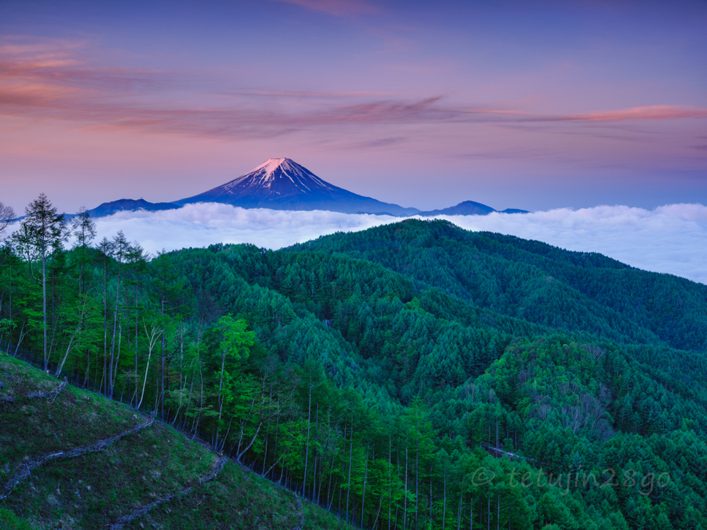 芽吹く山並み