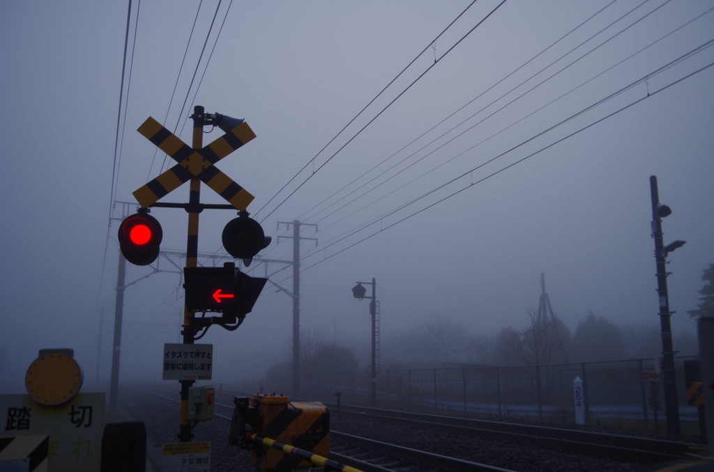 霧と踏切