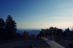 そびえる黄金の鳥居