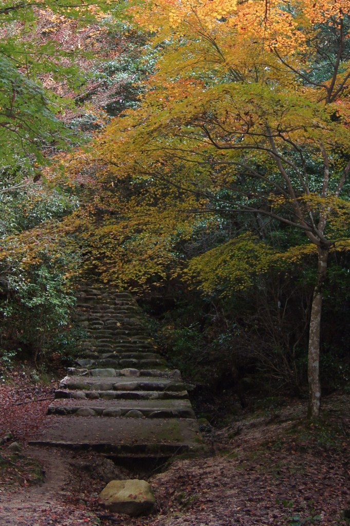 宮島　紅葉の入口