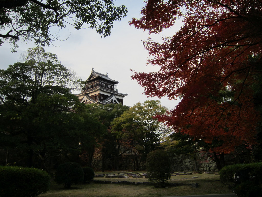 鯉城の紅葉