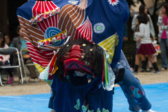 地元秋祭り　獅子奉納3