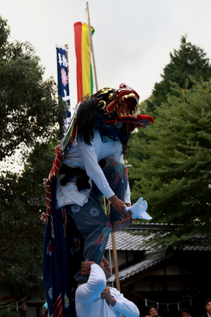 地元秋祭り　獅子奉納２