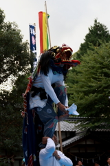 地元秋祭り　獅子奉納２
