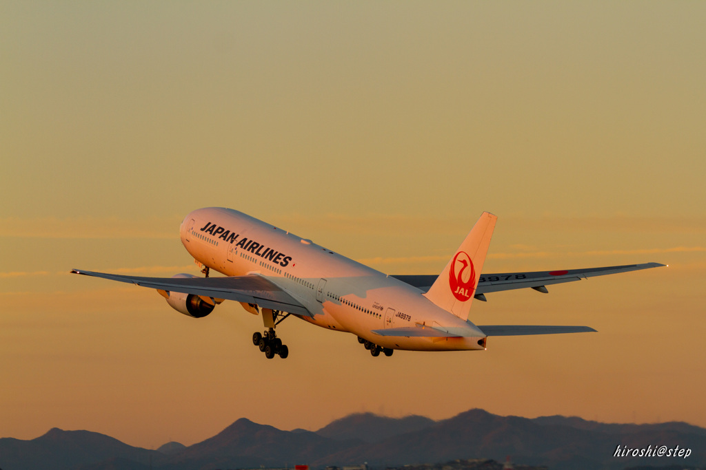 An airplane taking a sunset is cool