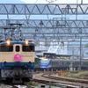上郡駅　トワイライトエクスプレス+スーパーはくと