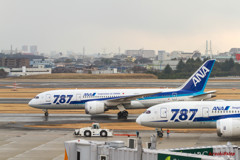 ANA 787 × 2機