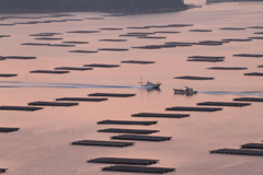 虫明湾