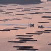 虫明湾