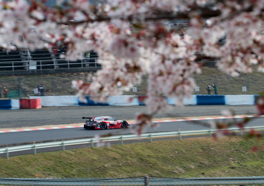  MOTUL AUTECH GT-R + 桜