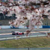  MOTUL AUTECH GT-R + 桜