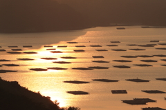 虫明湾２