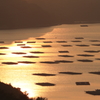 虫明湾２