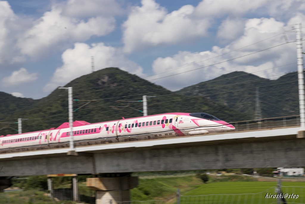 いつもの千種川