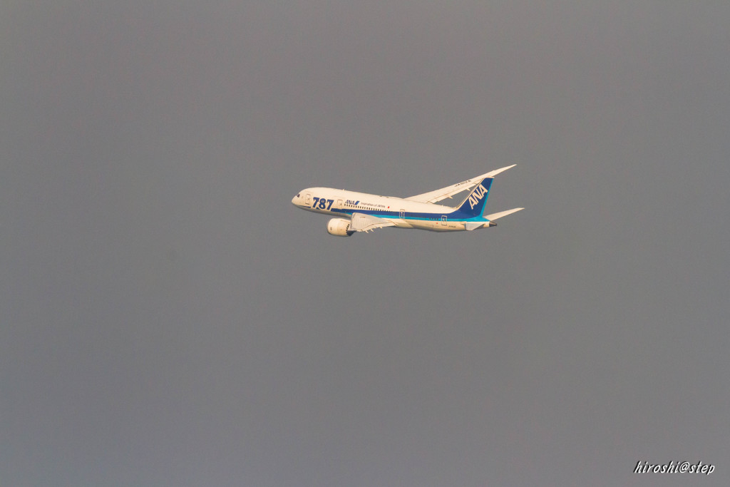 ANA 787