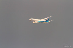 ANA 787