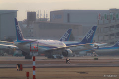 ANAだらけ