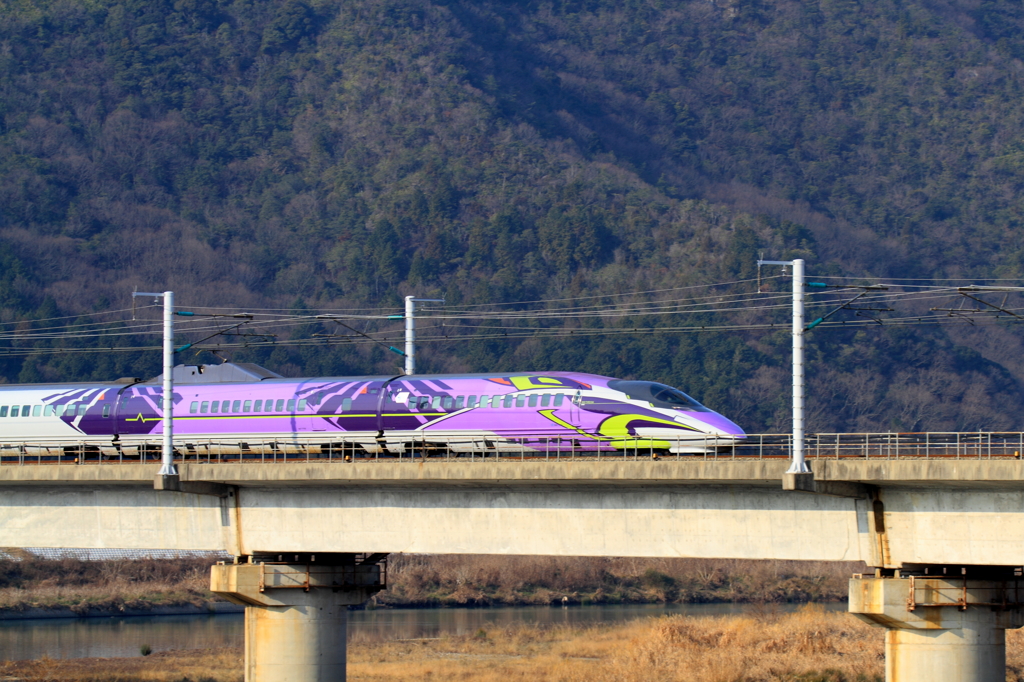 500 TYPE EVA 　２