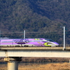 500 TYPE EVA 　２