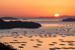 虫明湾の朝の情景